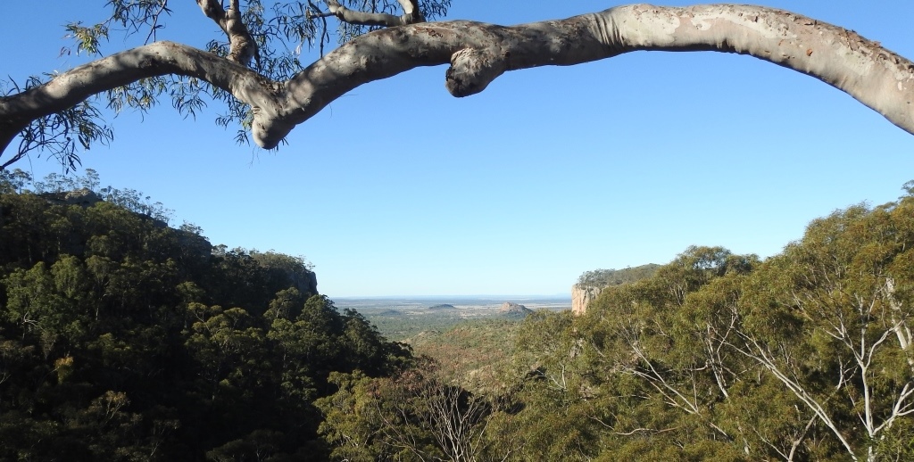 Springsure Qld