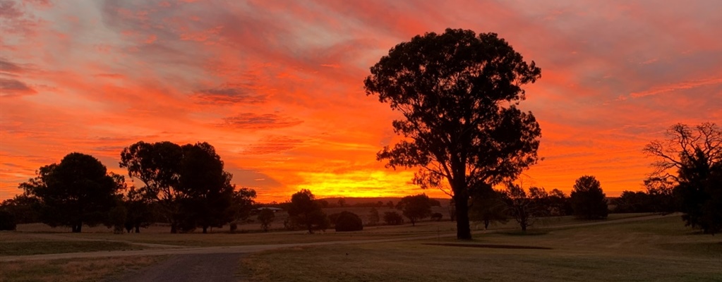 Molong NSW